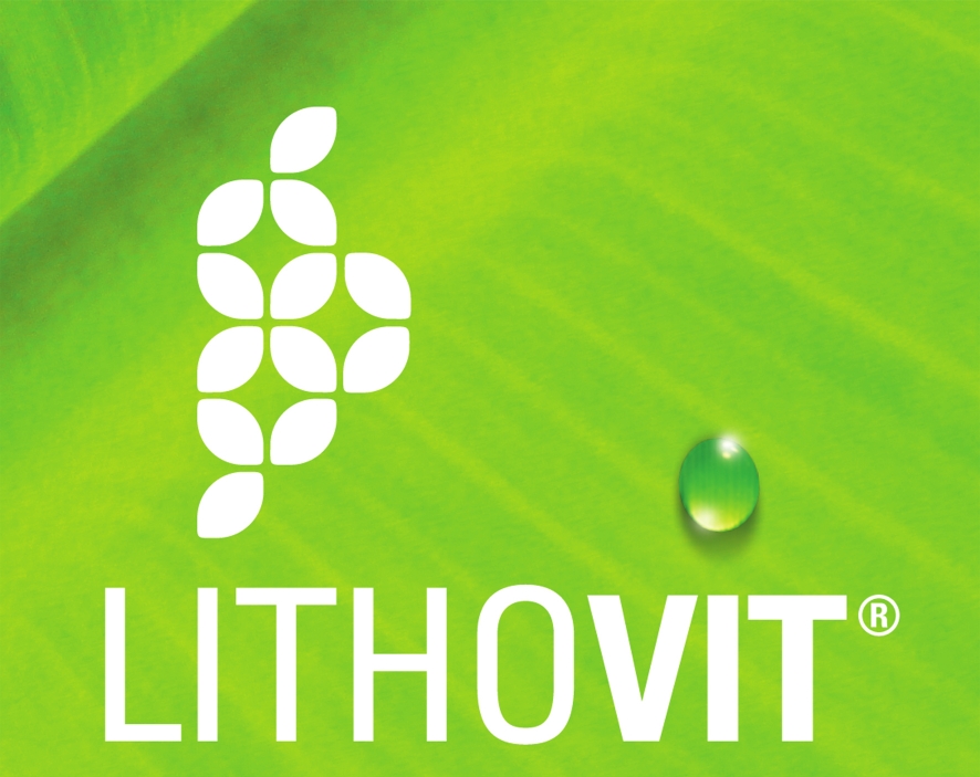 CU LITHOVIT PUTEM INVINGE SECETA!